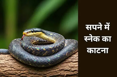 सपने में स्नेक का काटना
