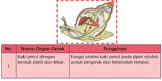 Kunci Jawaban Halaman 41 42 43 44 46 49 Kelas 5 Tema 