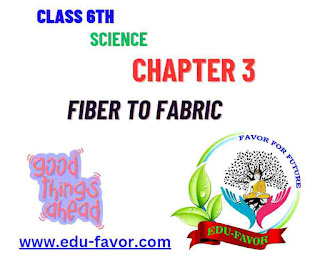 Latest NCERT Solutions for Class 6 Science Chapter 3 Fiber to Fabric All Questions and answers Notes PDF in English | कक्षा 6 अध्याय 3 फाइबर टू फैब्रिक का प्रश्नोत्तर नोट्स एंड पीडीएफ अंग्रेज़ी में |