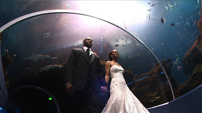 Wedding Bands Atlanta on Creative Video Moments Wedding Video Blog  Aquarium Wedding