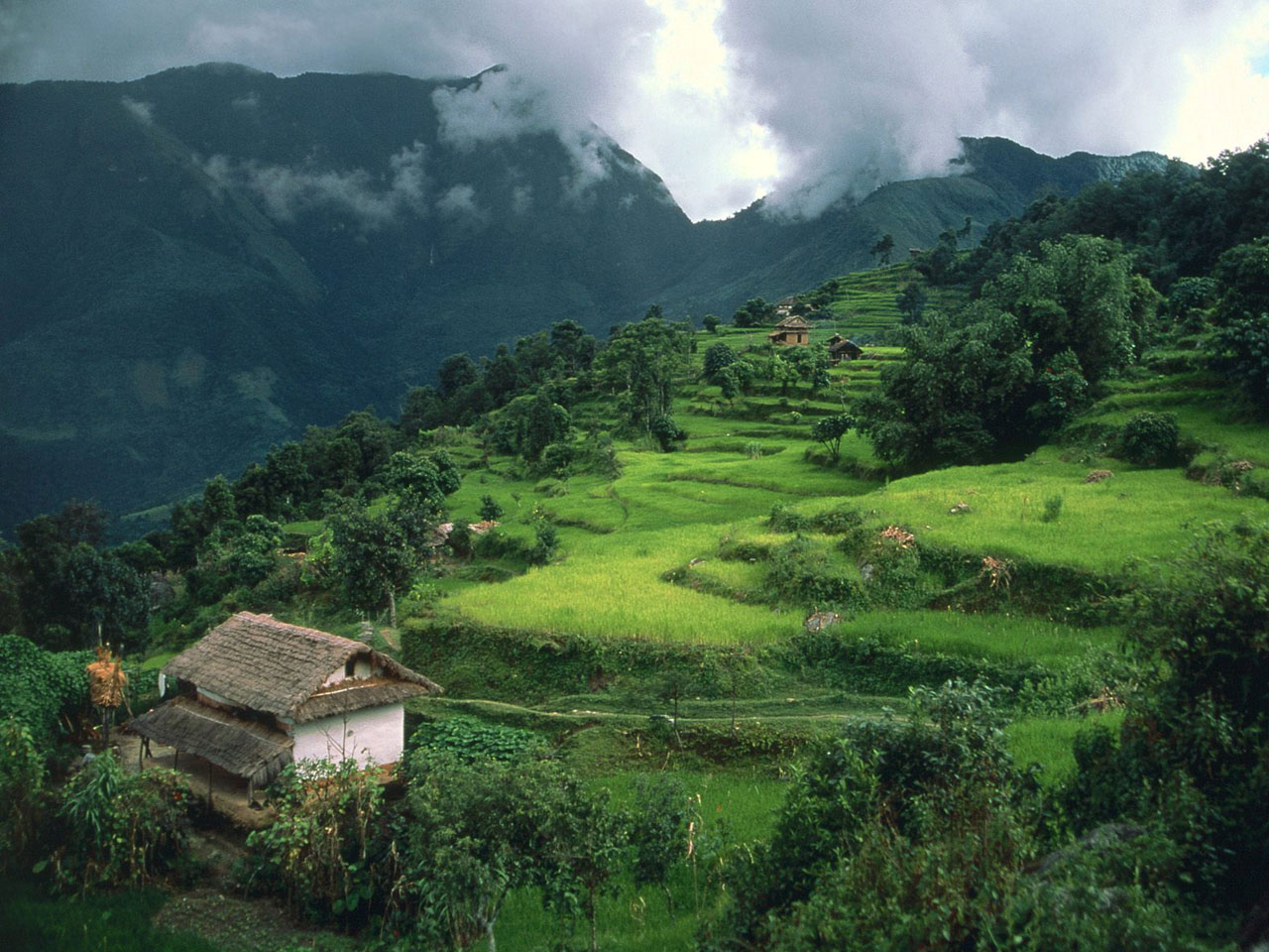 https://blogger.googleusercontent.com/img/b/R29vZ2xl/AVvXsEhGYfsEP2lnIB0zGaIFxuF45VehsFEQlKp9ZhwRoK4PKSufWV7h9D6XJXYu6y1zdK0IpWJlsI6WWHTADae24Jm7HGu2u2UL5yXXQoQjwib1HSvUdVUECJ8__goRaHCUzTsKPMhQ6CCmunQ/s1600/Arun_River_Region_Nepal.jpg