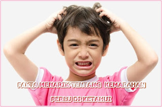 FAKTA MENARIK TENTANG  KEMARAHAN PERLU DI KETAHUI