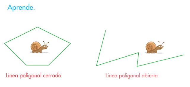 http://www.primerodecarlos.com/SEGUNDO_PRIMARIA/febrero/tema3/actividades/mates/lineas_poligonales_abiertas_cerradas/aprende_linea_poligonal/visor.swf