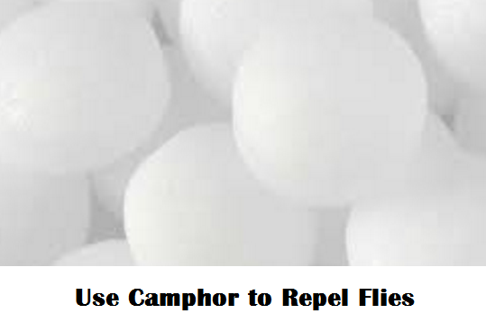 Use Camphor to Repel Flies