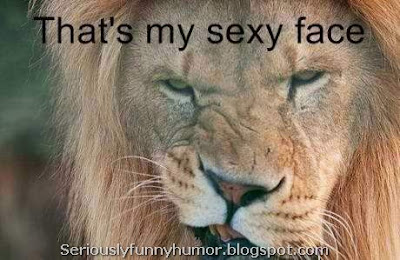 Lion - that's my sexy face