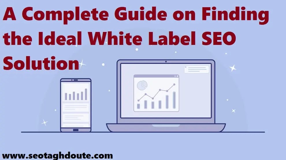 A Complete Guide to Finding Your Ideal White Label SEO Solution