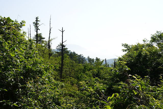 鳥取県西伯郡南部町東上 鎌倉山グリーンライン