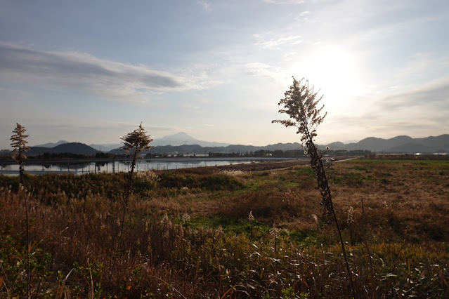 島根県安来市島田町 大山の眺望