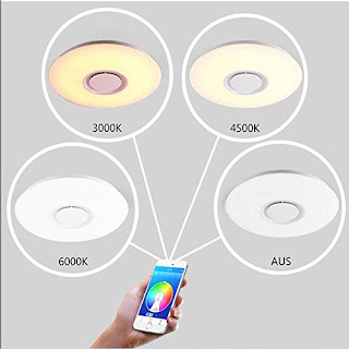 Led Music Ceiling Light