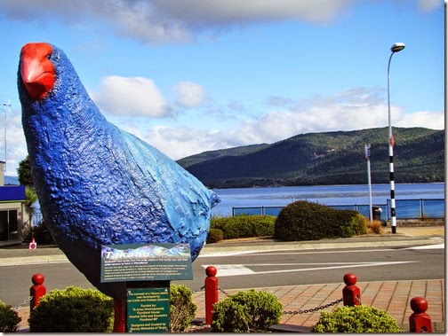 manapouri25