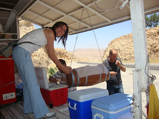 HASANKEYF, MOR GABRİEL MANASTIRI, BÜRYAN, DİYARBAKIRİ BATMAN, GÜMÜŞ, İŞLEME, DEYRULUMUR, SÜRYANİ KİLİSESİ, KİLİSE, CAMİ, MERYEM ANA, VEYSEL KARANİ, KADAYIF, MALABADİ KÖPRÜSÜ, DİYARBAKIR ASKERİ HAVAALANI