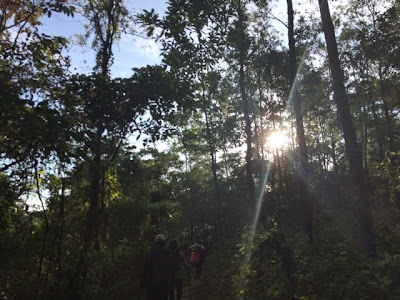 Pico de Loro