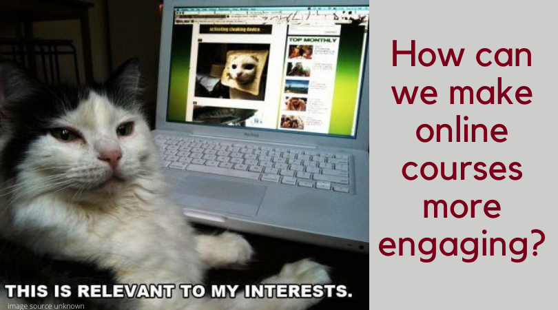 How can we make courses more engaging? Meme of cat looking at a webpage of cats.