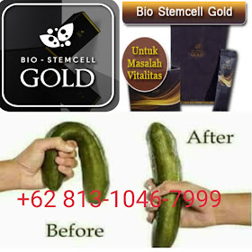 Khasiat bio stemcell gold, apa itu bio stemcell gold, harga bio stemcell gold, Kegunaan bio stemcell gold, testimoni bio stemcell gold, manfaat bio sc gold, obat kuat bio stemcell gold, ciri ciri bio gold stemcell palsu, cara minum bio stemcell gold, bio stemcell gold asli dan palsu, jual bio stemcell gold, herbal kuat, jamu kuat herbal yang aman, herbal kuat alami, herbal kuat ar rijal, herbal kuat terbaik, herbal obat kuat untuk lansia, herbal raja kuat, herbal untuk kuat, obat herbal agar kuat dan tahan lama, obat herbal bikin kuat, obat herbal kuat jima, obat herbal kuat manjur, obat herbal kuat tanpa efek samping, obat herbal kuat untuk lelaki, obat herbal raja kuat, obat kuat herbal aman dikonsumsi, obat kuat herbal aman untuk jantung, obat kuat herbal ampuh, obat kuat herbal jawara, obat kuat herbal jitu, obat kuat herbal kopi, obat kuat herbal mujarab, obat kuat herbal rekomendasi, obat kuat herbal resmi bpom, obat kuat herbal terlaris, obat kuat herbal yang paling ampuh, obat kuat herbal yang aman, obat kuat herbal untuk penderita diabetes, obat kuat herbal yang ampuh, obat kuat herbal yang bagus, obat kuat herbal yang paling bagus, obat kuat herbal yang terdaftar di bpom, obat kuat herbal yg aman dikonsumsi, resep herbal kuat dan tahan lama, tanaman herbal untuk kuat ereksi.