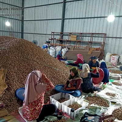 betel nut exporters in Indonesia