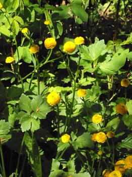 130