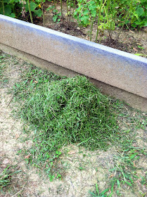 grass clippings as fertilizer
