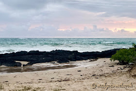 Beach at Isabella