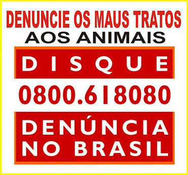 DISQUE DENUNCIA