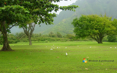 Windows 8 New HD Wallpapers 2013