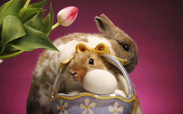 rabbits, basket, eggs