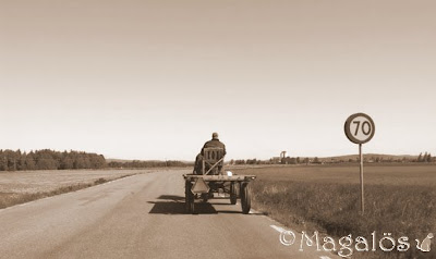 Häst med vagn, sett bakifrån. Sepia-ton.