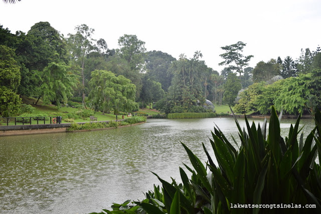 WHY THE SINGAPORE BOTANIC GARDENS IS A UNESCO WORLD HERITAGE SITE?