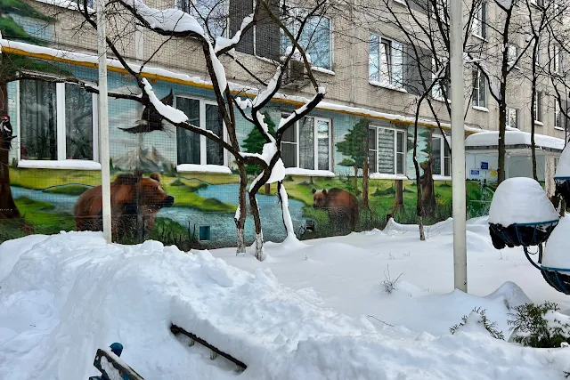 улица Островитянова, дворы, жилой дом 1972 года постройки, граффити медведи
