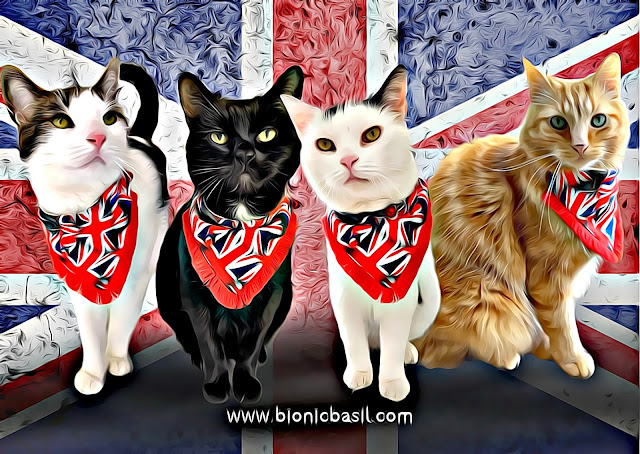 The B Teams Union Jack Selfie ©BionicBasil® Caturday Art