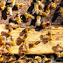 Bee Control and Public Health: Why it Matters for Community Well-being