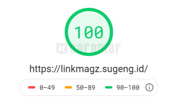 Speed skor google pagespeed Template Blogger Link Magz dari Mas Sugeng.id capai 100