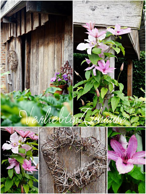 Holzhütte im Garten mit Dekoherz und hochrankender Clematis