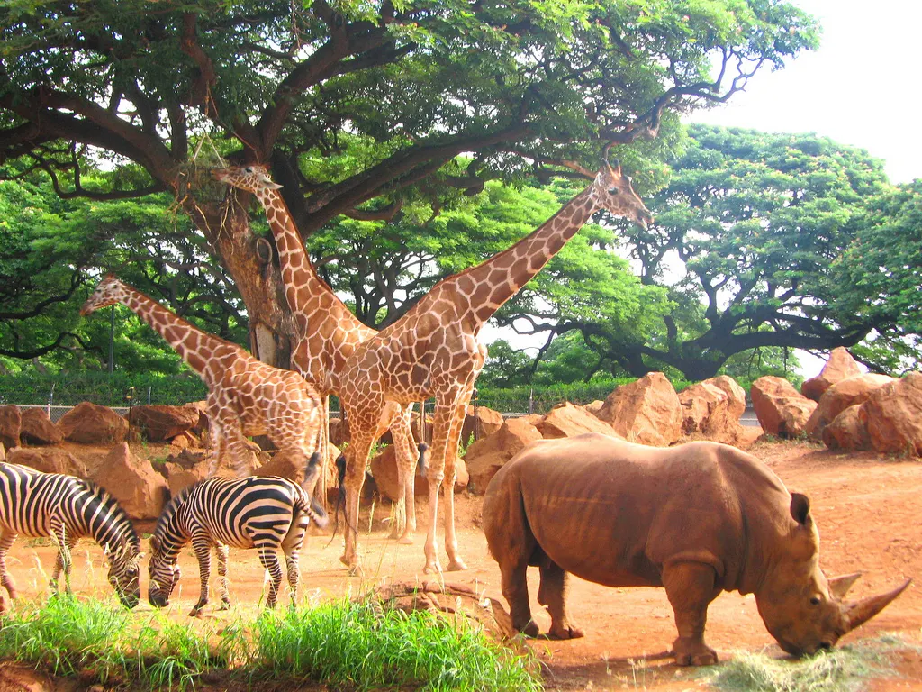 Honolulu Zoo