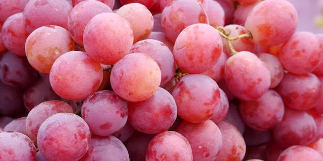 Khasiat Biji anggur dapat membunuh sel kanker prostat