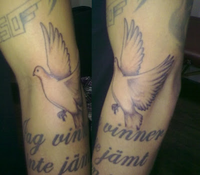 dove tattoo designs