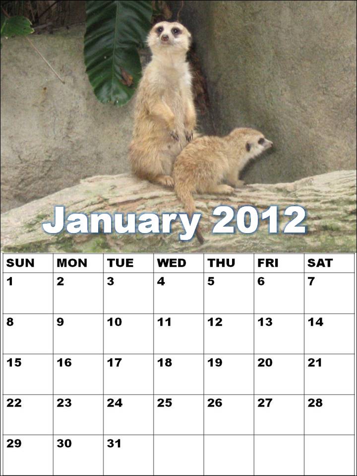 annual calendar 2012. 2012 annual calendar.