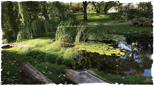 Ved dammen nedenfor Victoriahuset i Botanisk hage