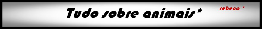 Tudo Sobre Passaros