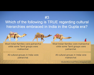 Which of the following is TRUE regarding cultural hierarchies embraced in India in the Gupta era? Answer choices include: Most Indian families were patriarchal while some Tamil groups were matriarchal. Most Indian families were matriarchal while some Tamil groups were patriarchal. All cultural groups in India were patriarchal. All cultural groups in India were matriarchal.