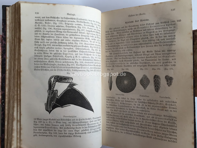 Das Buch der Natur, Schoedler, Friedrich, 1886,  Die Lehren der Physik, Astronomie, Chimie, Mineralogie, Geologie, Botanik, Zoologie und Physiologie