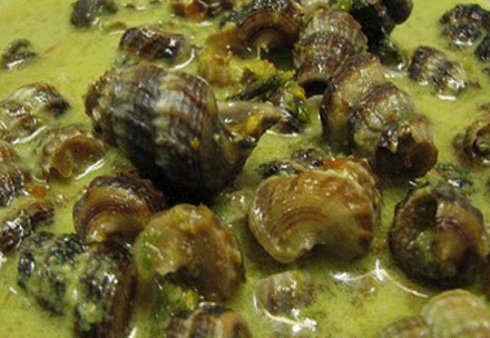 Dari Koleksi Angah Rohani: Siput Sedut Masak Lemak Chili Api