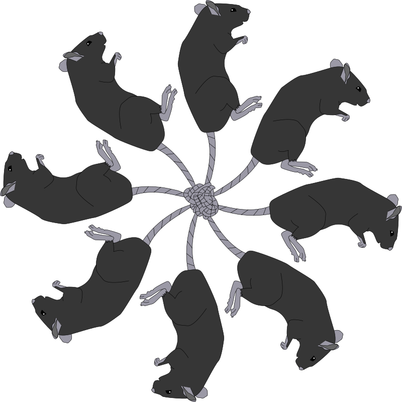 A rat king is a hellish entanglement of rats that are bound together by  their tails