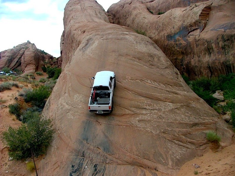 lions-back-moab-4