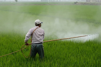 Harbicide Spraying