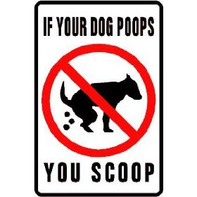 People leaving dog poop on the street