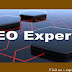 Why choose our SEO Expertise For your service