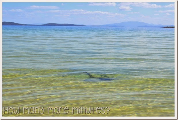 How Many More Minutes? ~ The Magical Beach in Dunalley, Tasmania