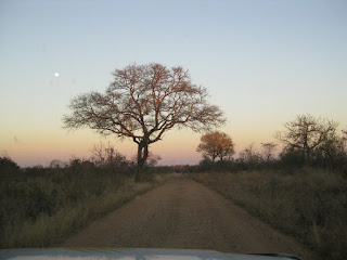 Manyeleti Game Reserve bij valavond