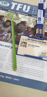 The Journey of Uncertainity: My Life during SBI Youth for India Fellowship(SBIYFI) 