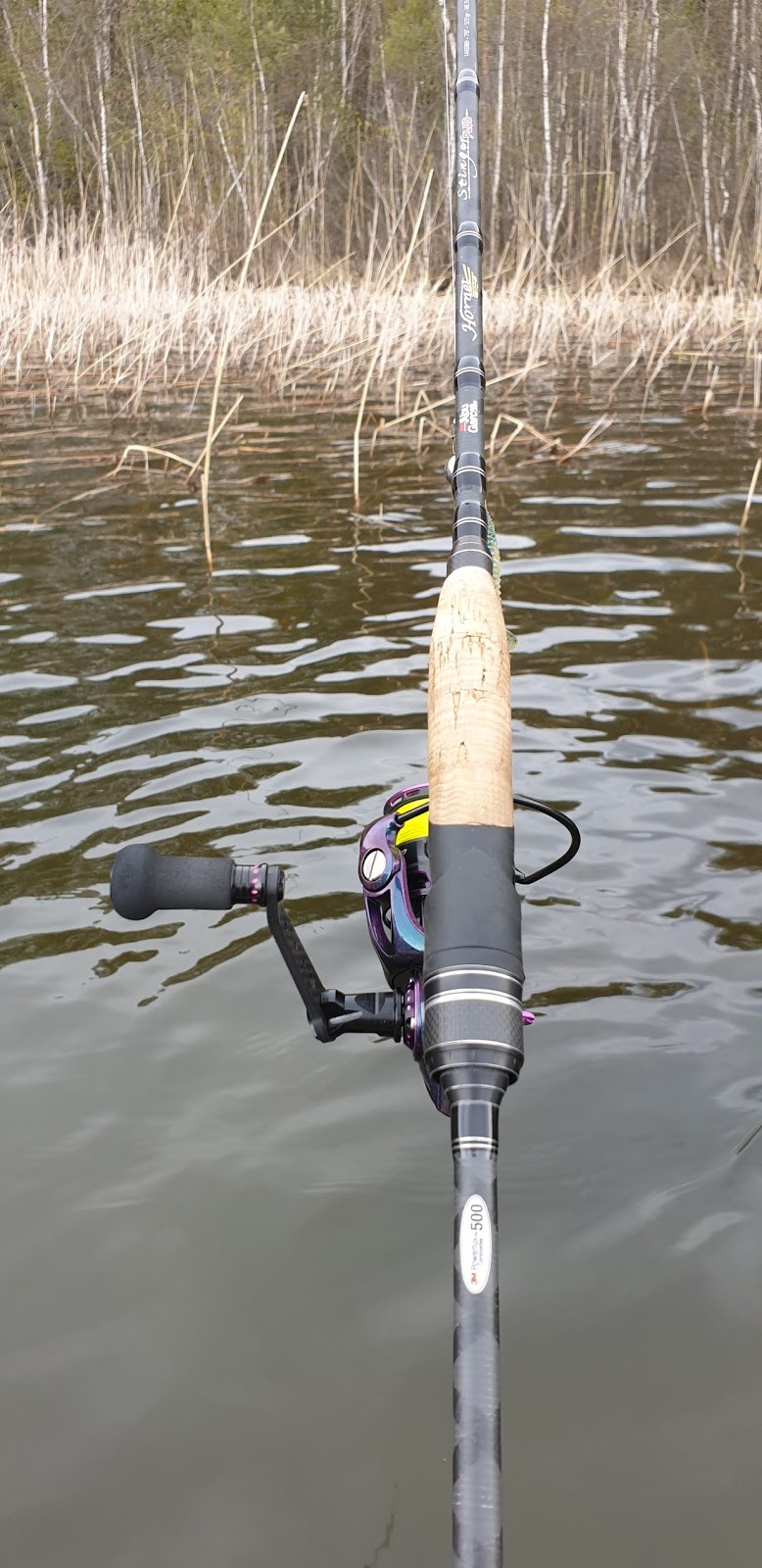 Review: Abu Garcia Hornet Stinger Plus